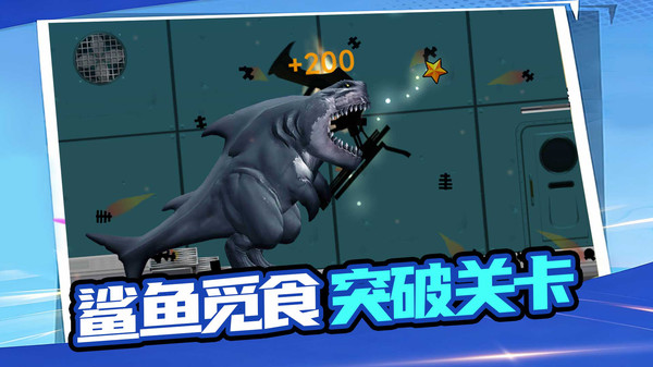 贪吃的鲨鱼