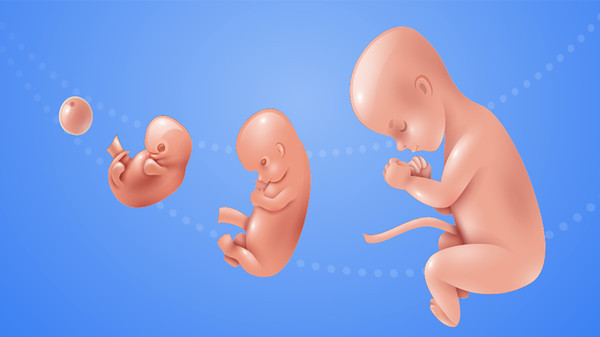 宝宝养成模拟器