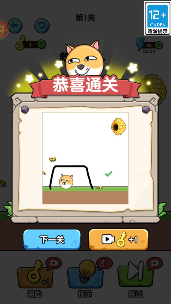 汪星人救援日记