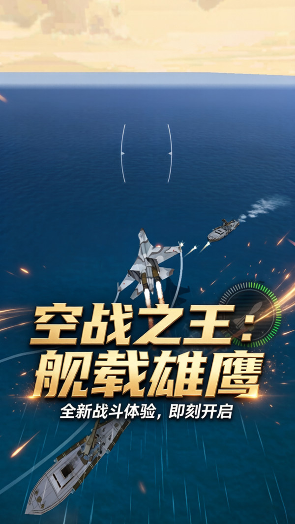 飞机驾驶大师