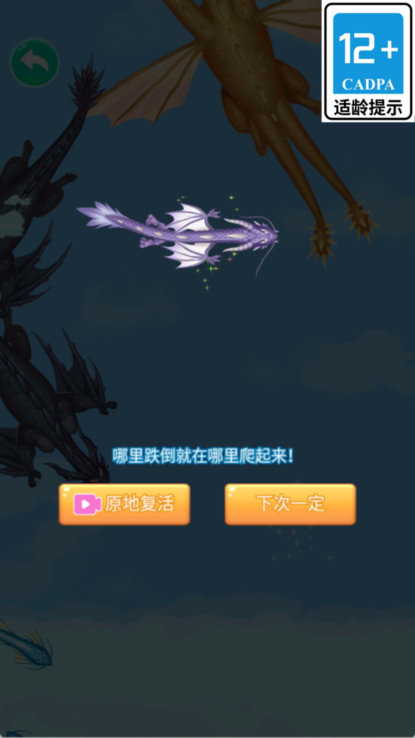 小龙成长日记