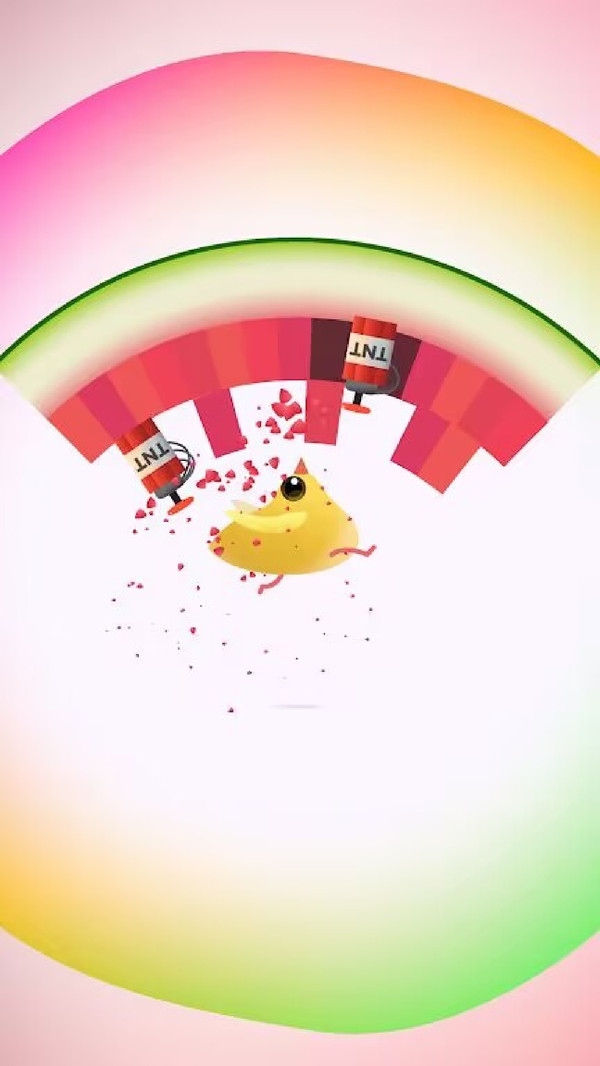 疯狂小鸽子-乱啄的鸽子