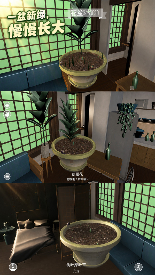 花花养成记
