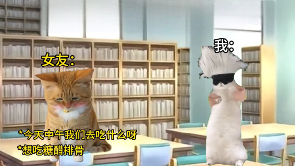 猫meme搞怪冒险-猫meme校园冒险