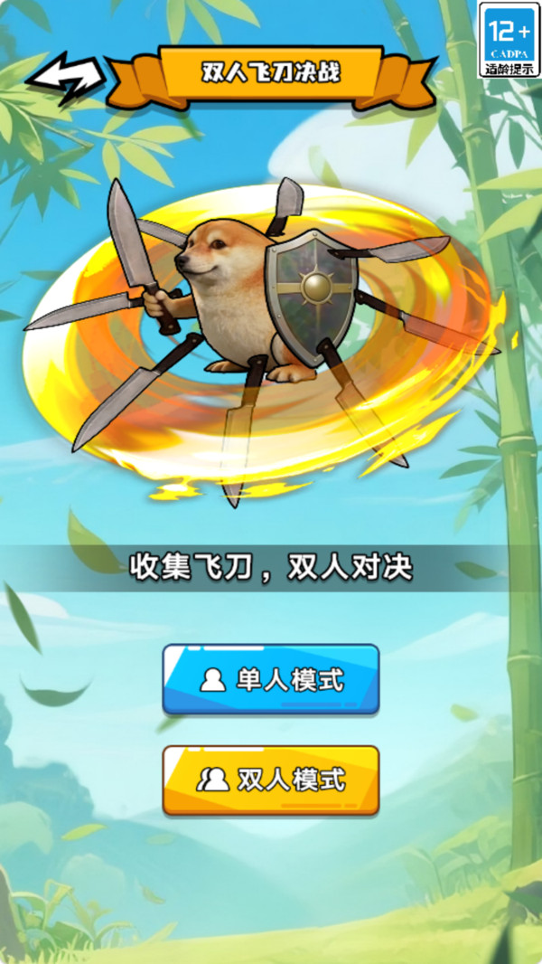 我耍剑贼帅