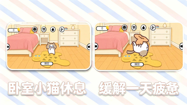会说话的小猫咪