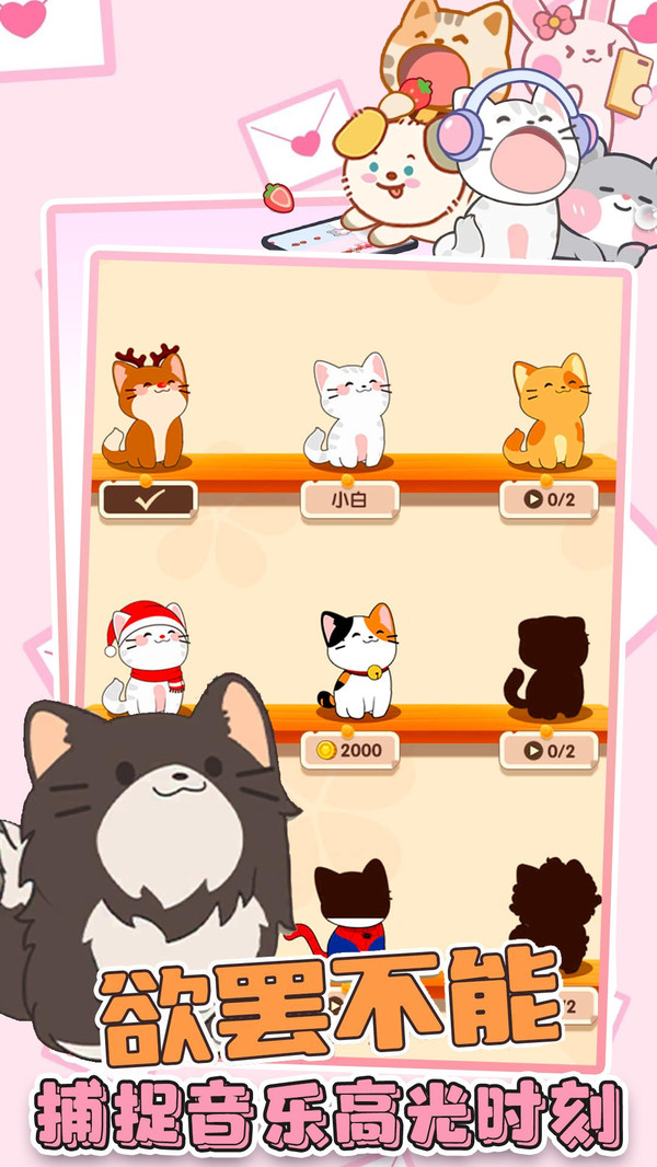 猫咪很可爱