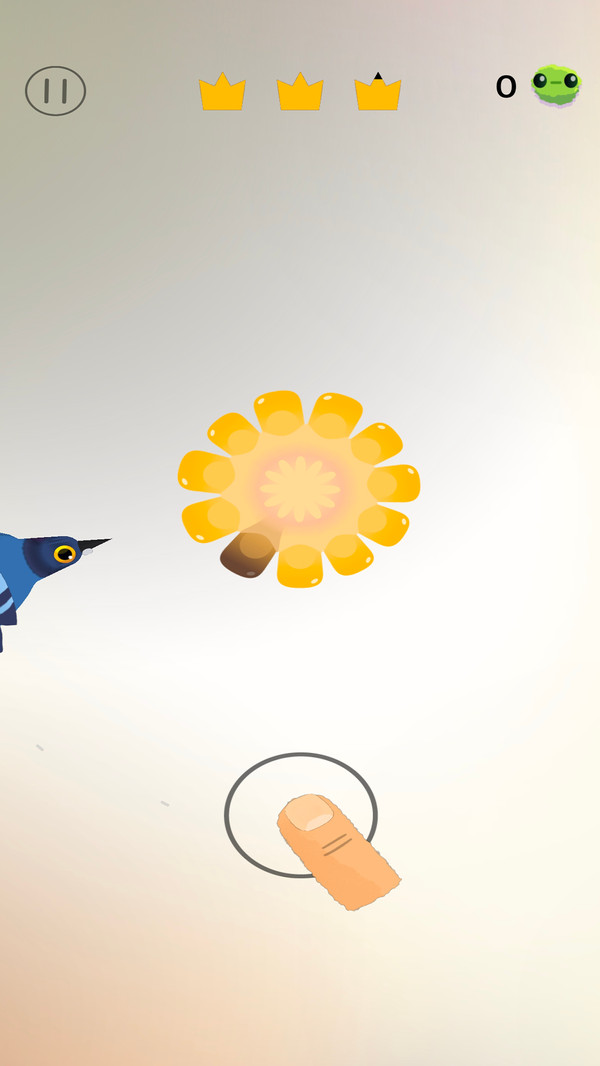 萌宠日记-乱啄疯狂的鸽子