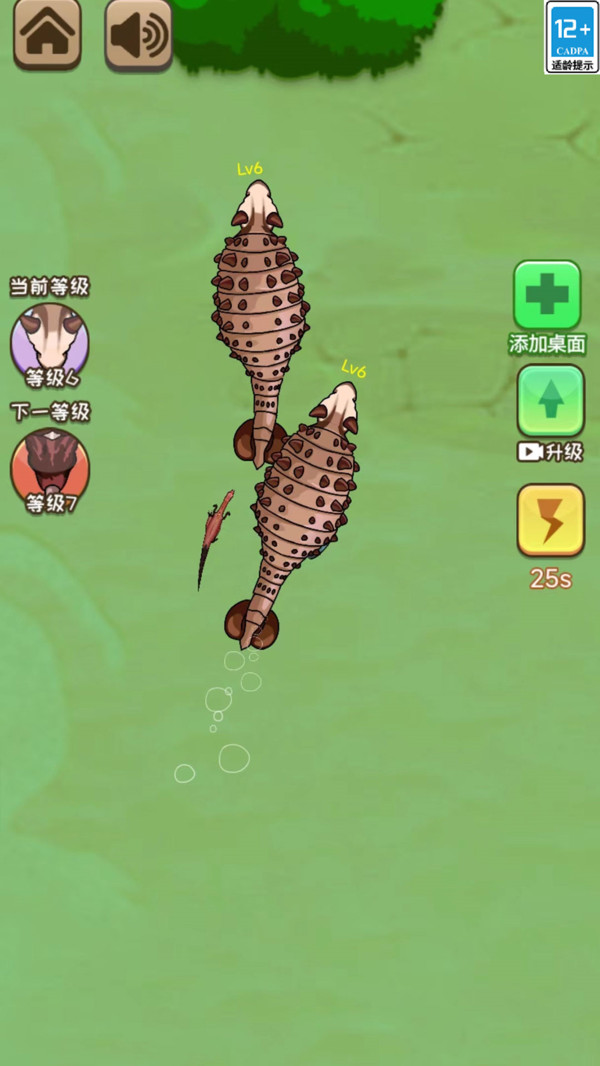 神兽养成记