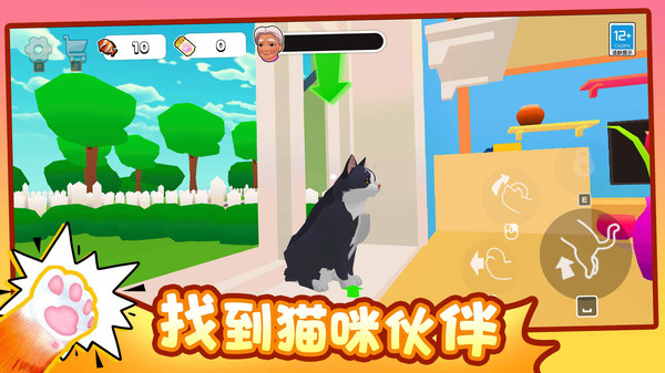 疯狂猫咪