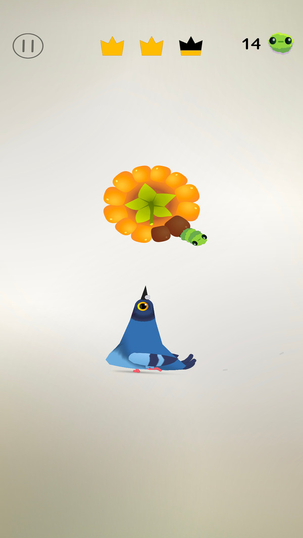 萌宠日记-乱啄疯狂的鸽子