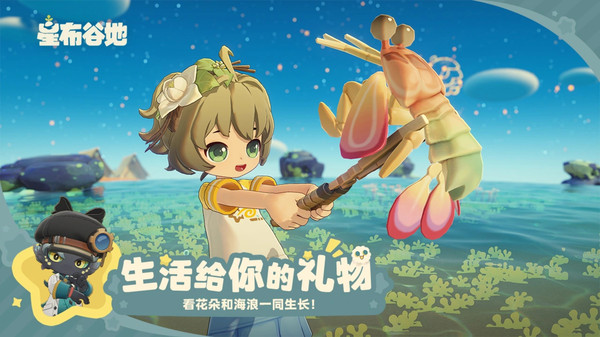 星布谷地
