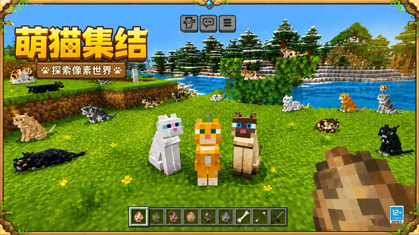 喵星大冒险