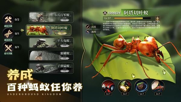 小小蚁国-超快发育版