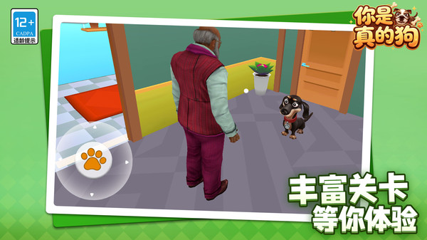 你是真的狗
