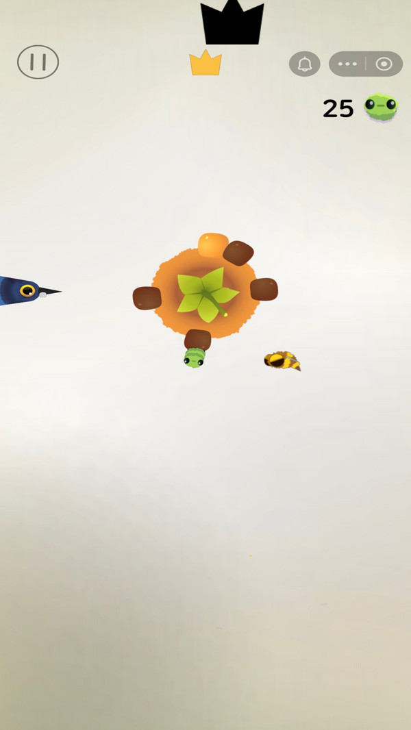 疯狂的鸽子舞蹈版