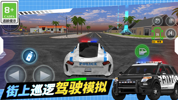 警察抓捕行动
