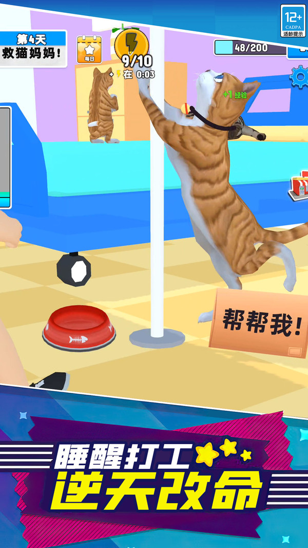 灵兽成长