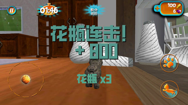 萌猫城市