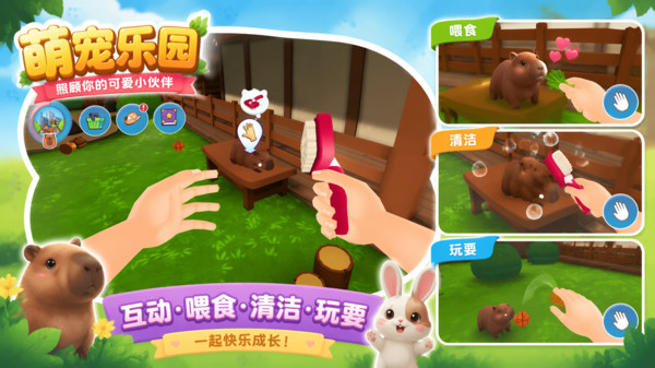 爱宠小屋成长录