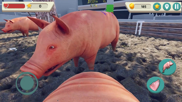小猪模拟器2