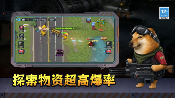 猫狗救援队