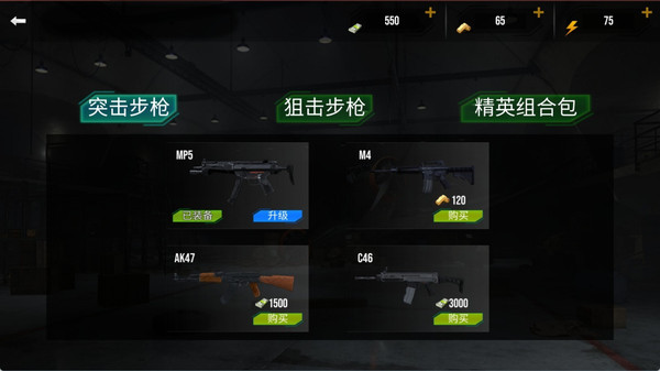 荒野枪战突击队