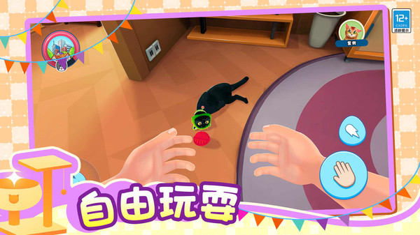 小小猫之家