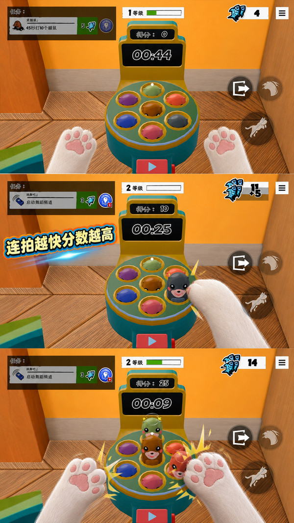 喵咪生活