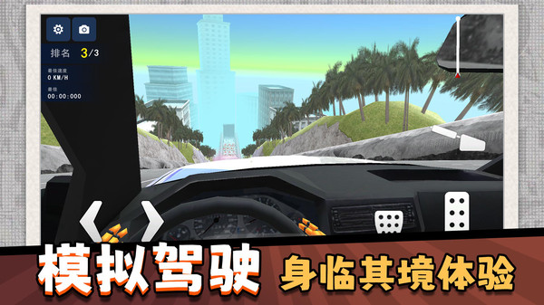 模拟驾驶达人