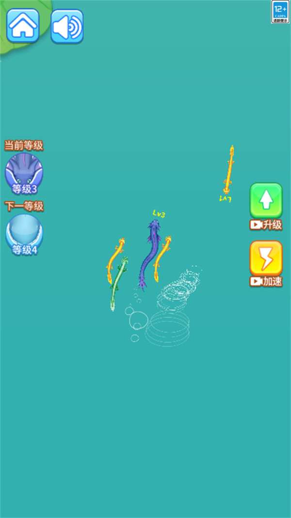 神龙变蝌蚪