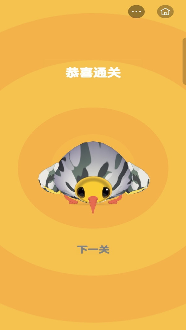 逆袭菜鸟营
