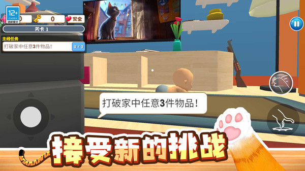 坏猫大作战