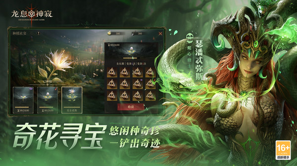 龙息：神寂