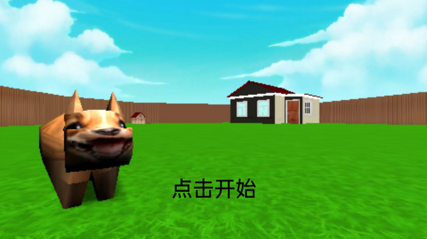 飞盘遛狗