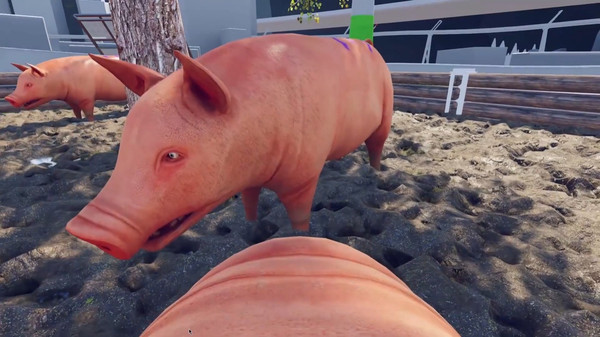 母猪模拟器