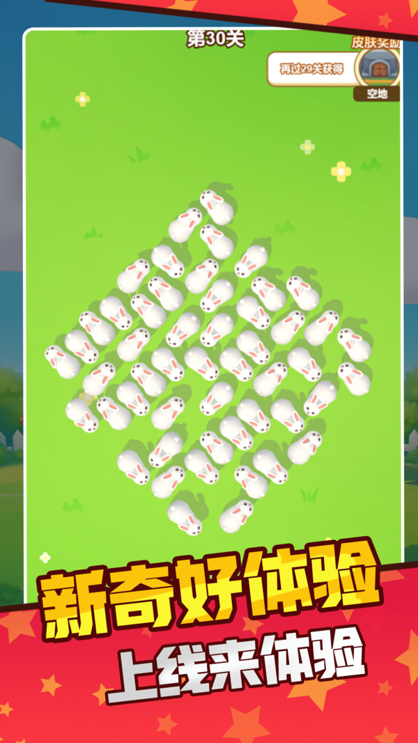 挪了个兔