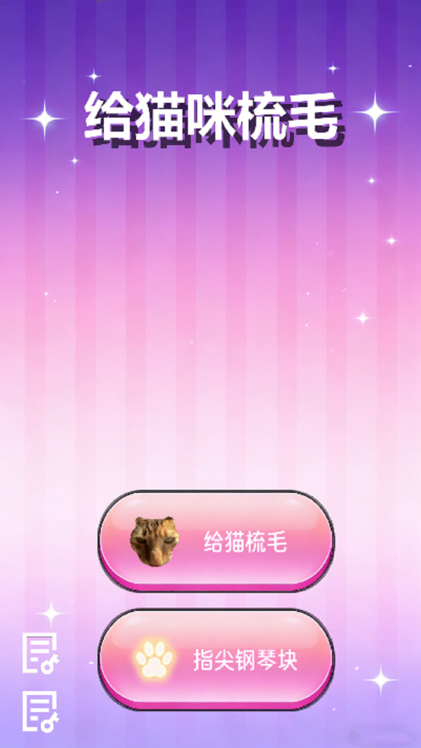 给猫咪梳毛