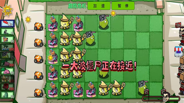 植物疯狂大战僵尸