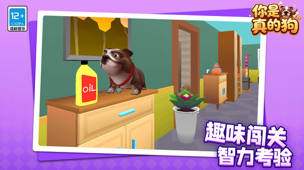 你是真的狗