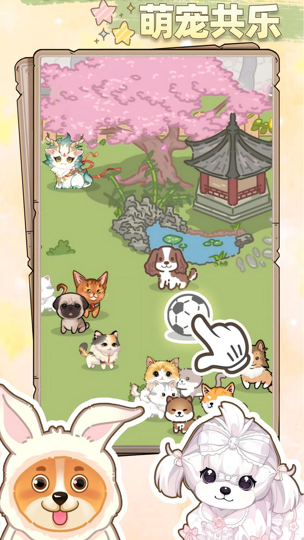 猫猫狗狗一起玩