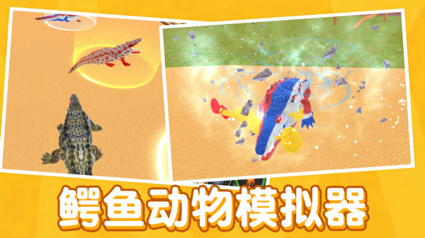 动物竞赛5
