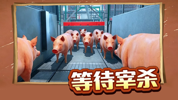 没事我只会躺-乖乖小猪
