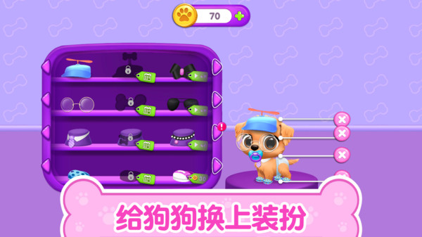 猫咪生活日记