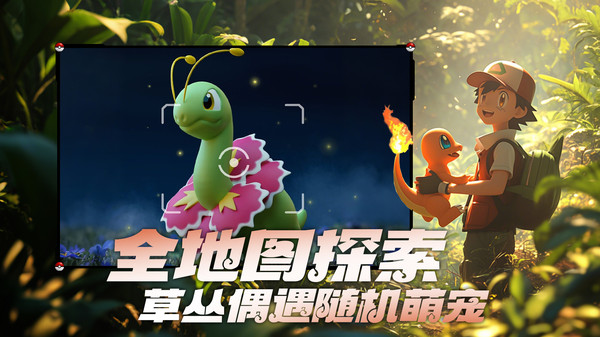 宠物集结