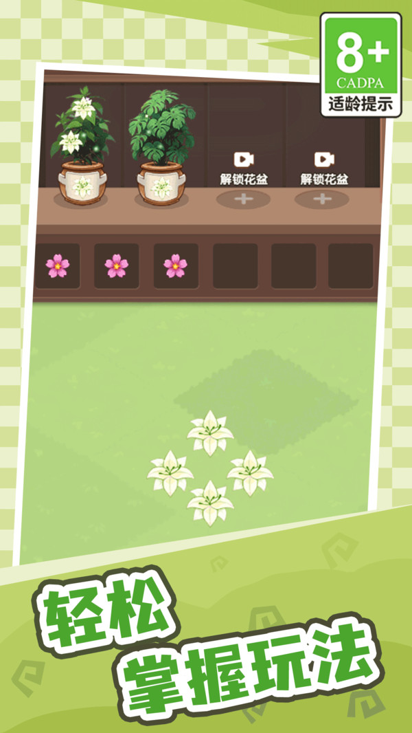 动手我最强
