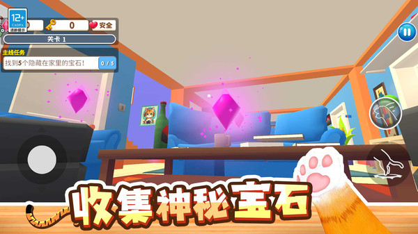 坏猫大作战