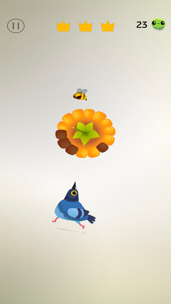 萌宠日记-乱啄疯狂的鸽子