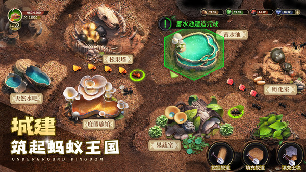 小小蚁国-超快发育版