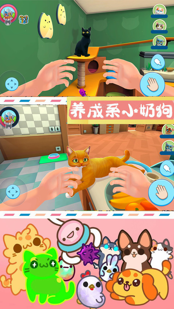 别切到猫咪